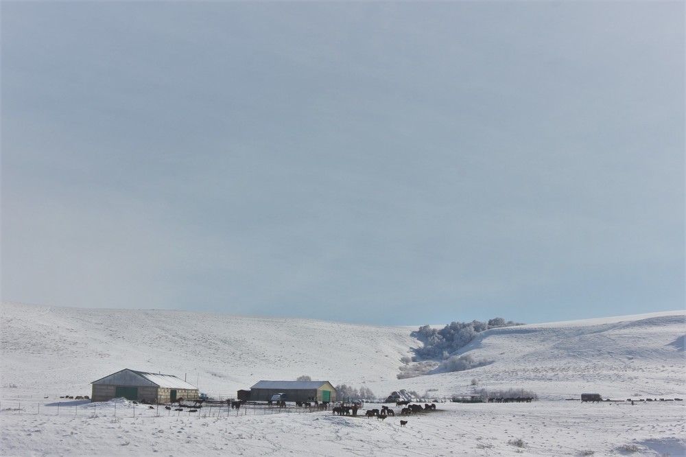 Photograph by Евгения Юдина