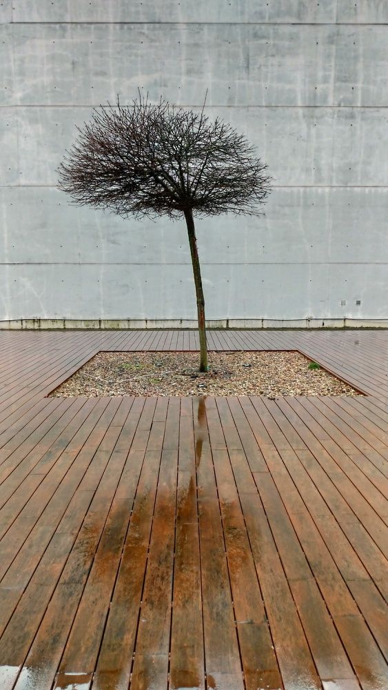 Одиночество в городе. Loneliness in the city