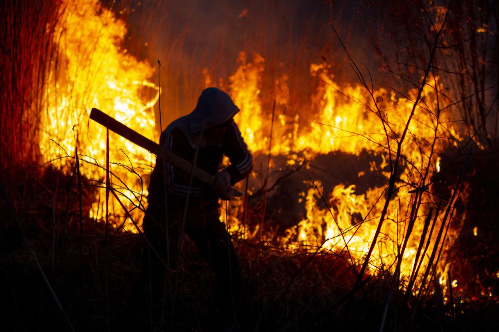 укрощение огня