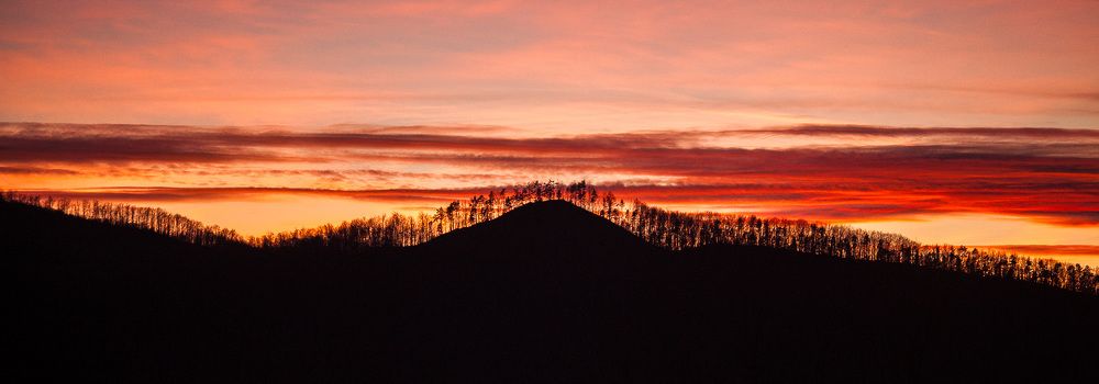 Photograph by Оксана Сікорська