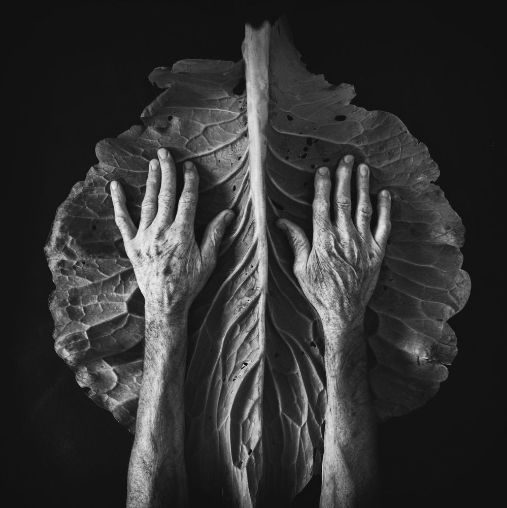 Фотография автора Игорь Ушаков