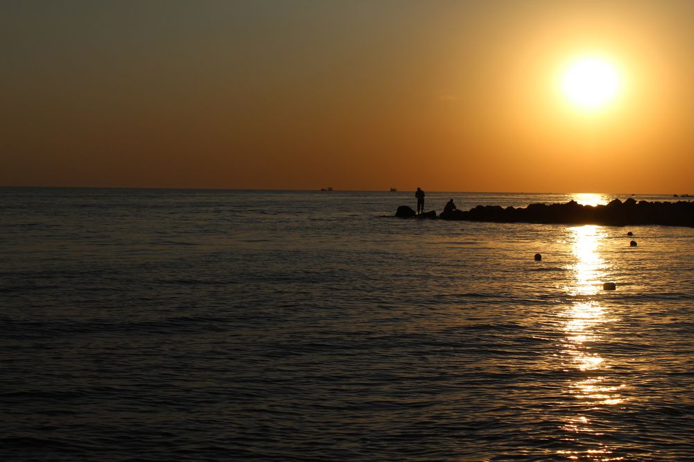 Photograph by Ольга Глубока