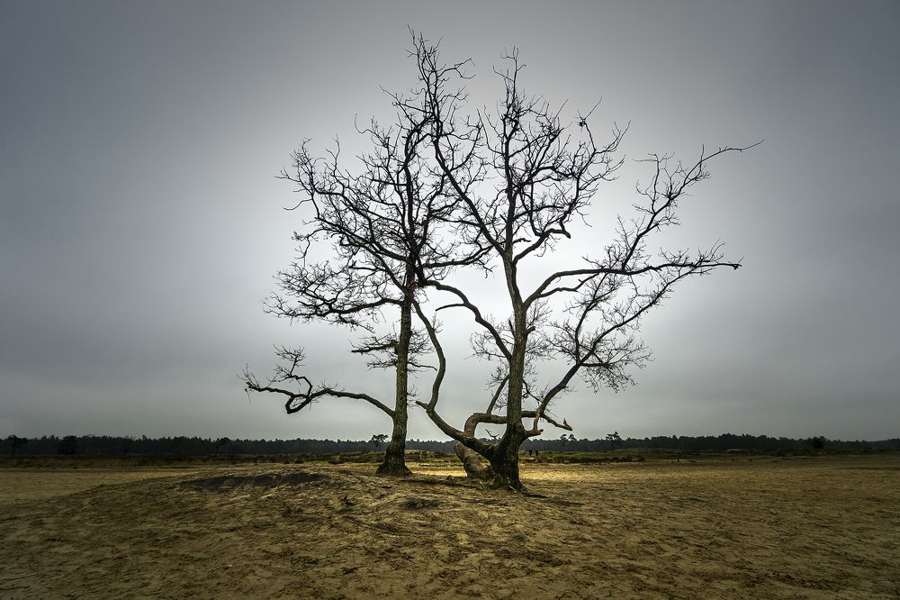 Photograph by Bernd Harnisch