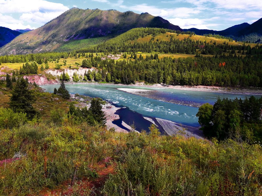 Photograph by Владимир Каверин