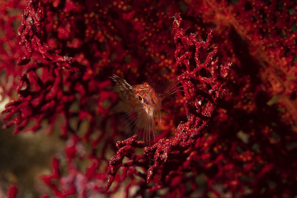 Photograph by Павел Чистяков