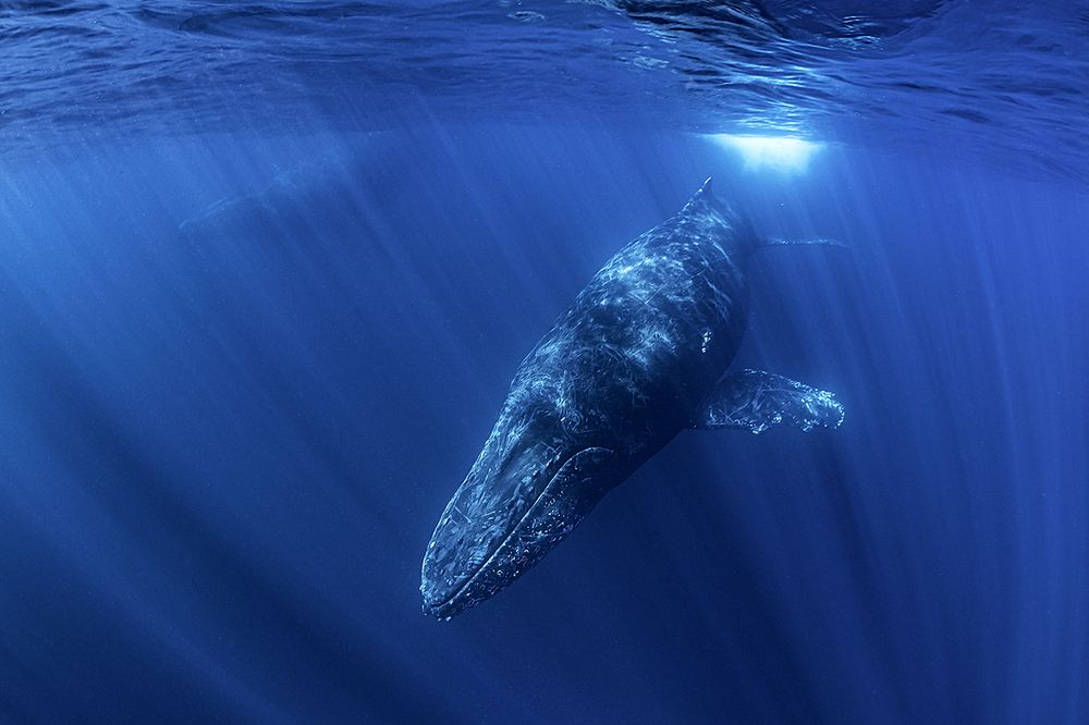 Photograph by Павел Чистяков