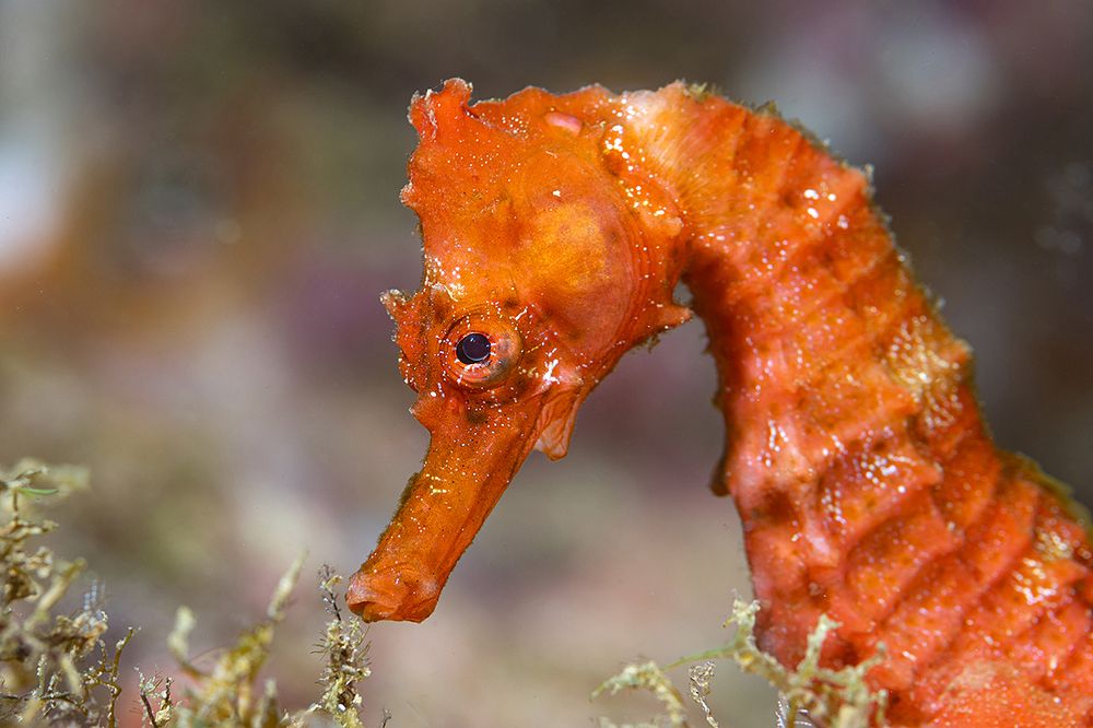 Photograph by Павел Чистяков