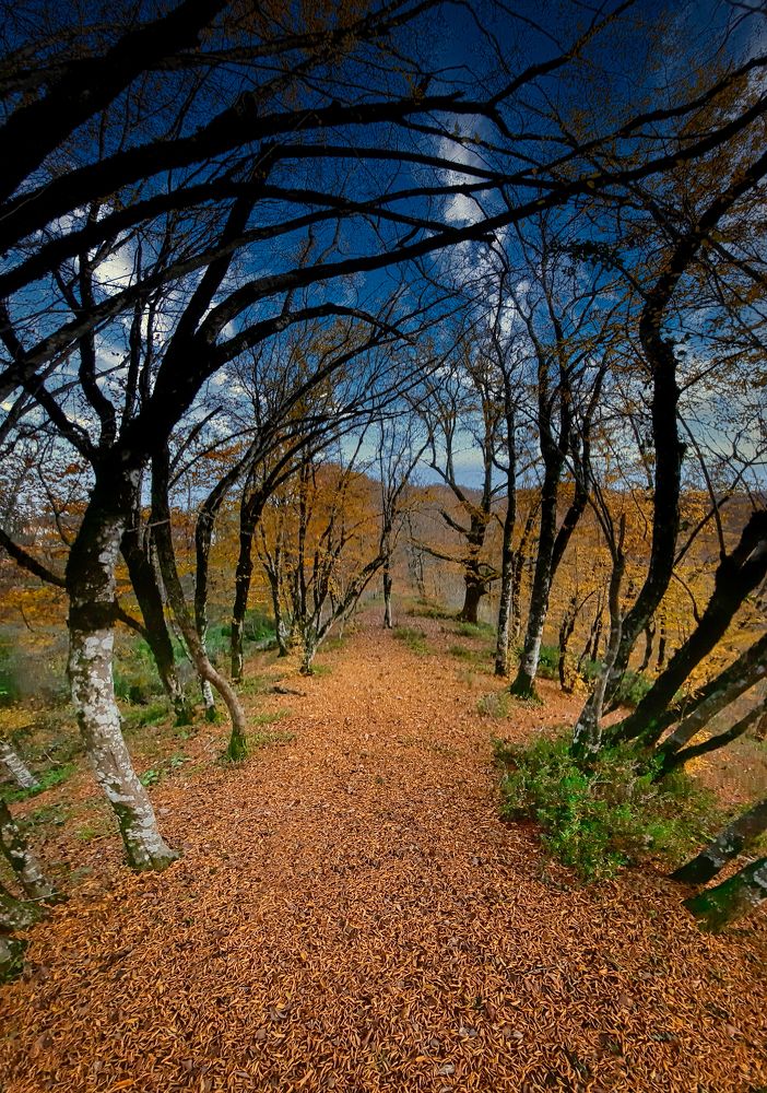 Photograph by Александр Семенюк