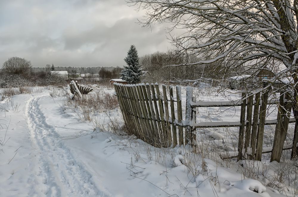 Деревенские тропы