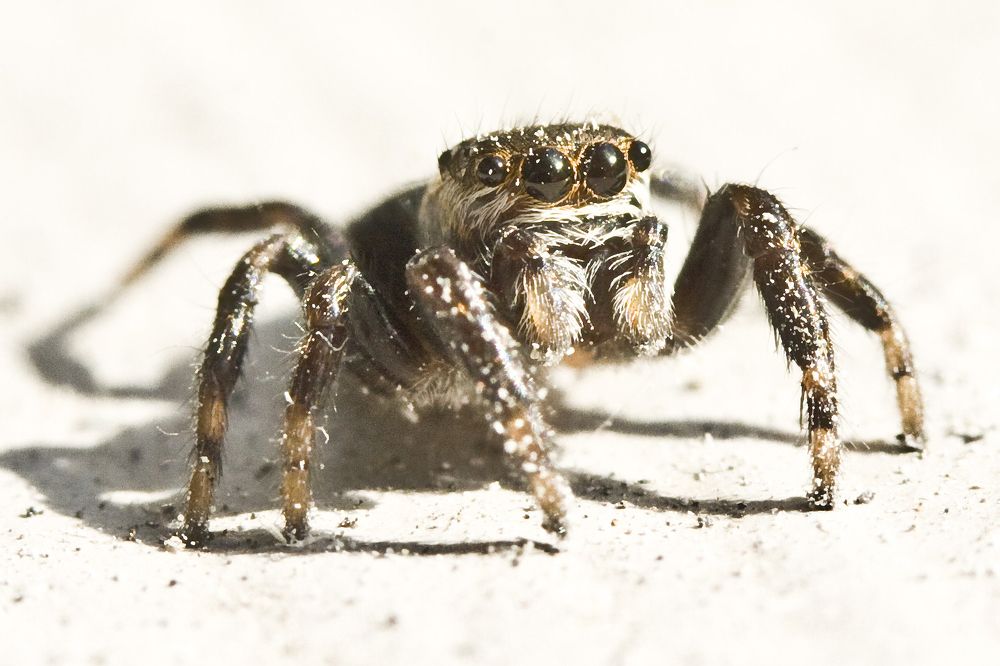 Photograph by Евгений Безгребельный