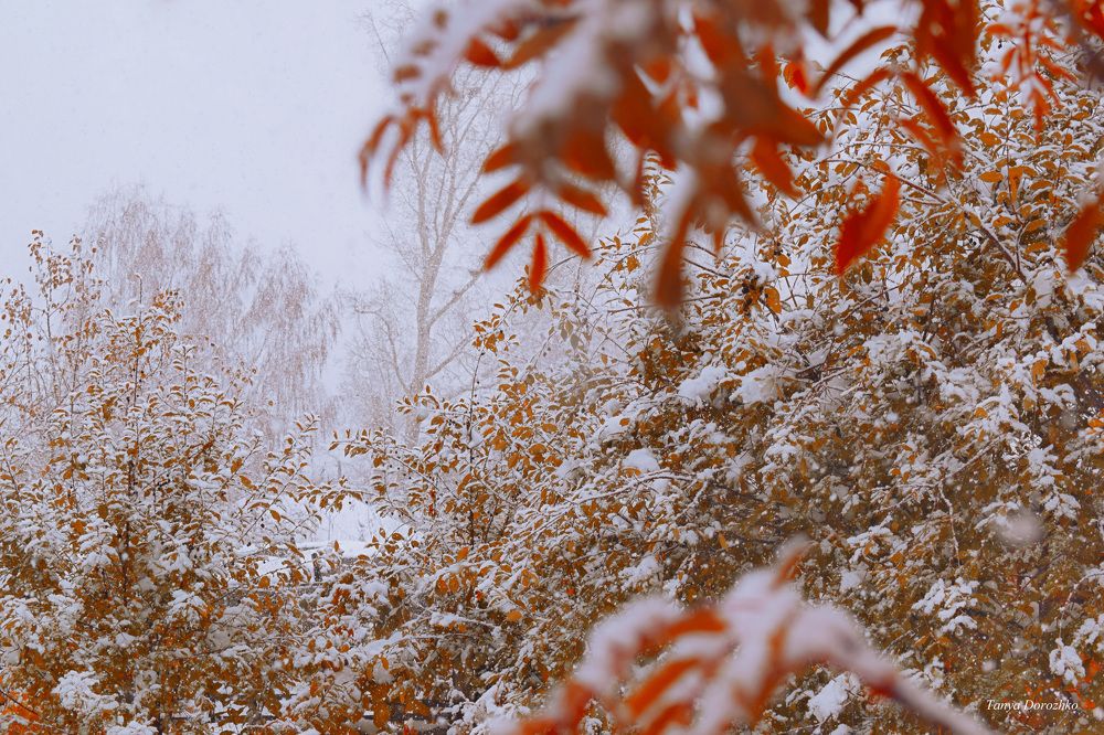 Photograph by Татьяна Дорожко