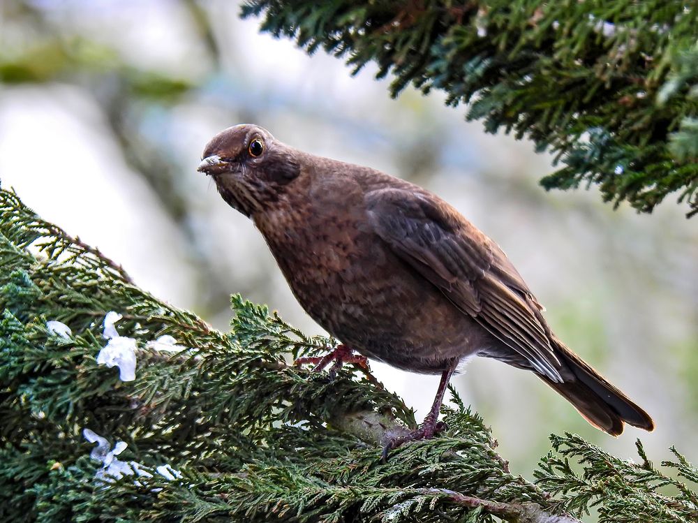 Photograph by Csótai Katalin