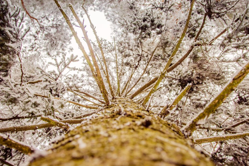 Photograph by Екатерина Бочарова