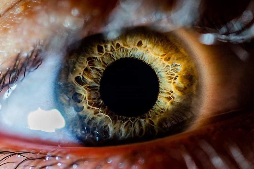 Photograph by Andrei Marian Gheorghe