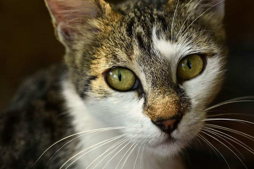 Photograph by Andrei Marian Gheorghe