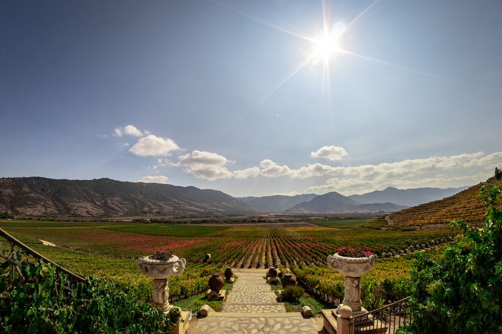 Photograph by Gerardo Morales