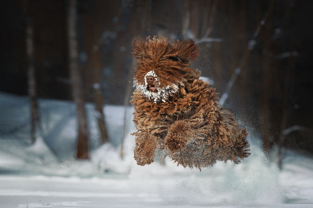 Photograph by Наталия Поникарова