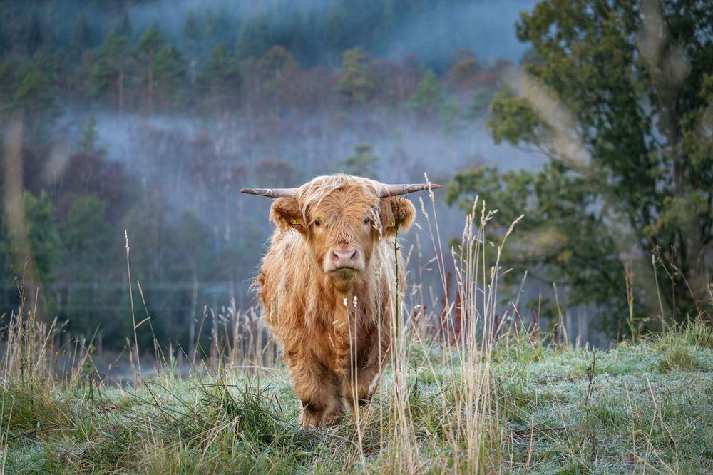 Photograph by Kristine Muceniece