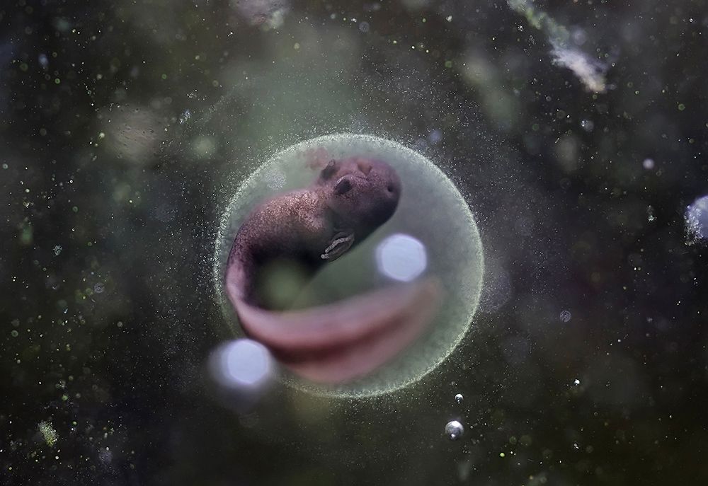 Начало / Beginning