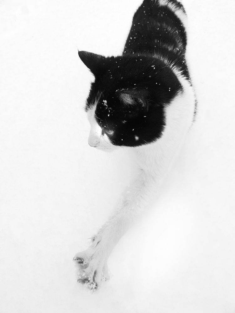 Photograph by Ksenia Ozdamar