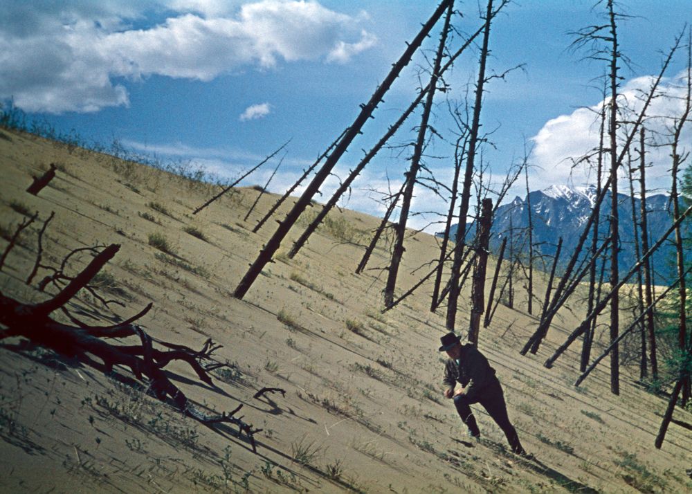 Photograph by Володимир Федишин