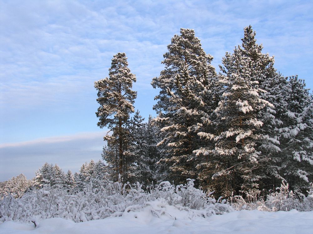 Photograph by Евгений Безгребельный