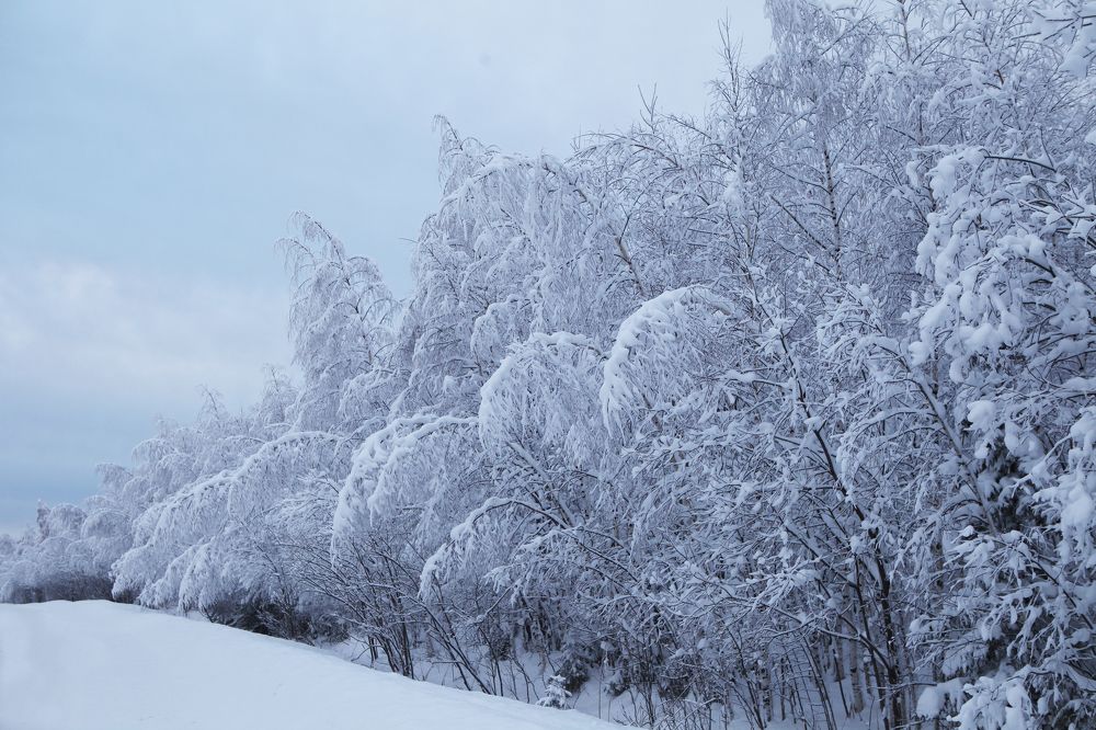 Photograph by Евгений Безгребельный