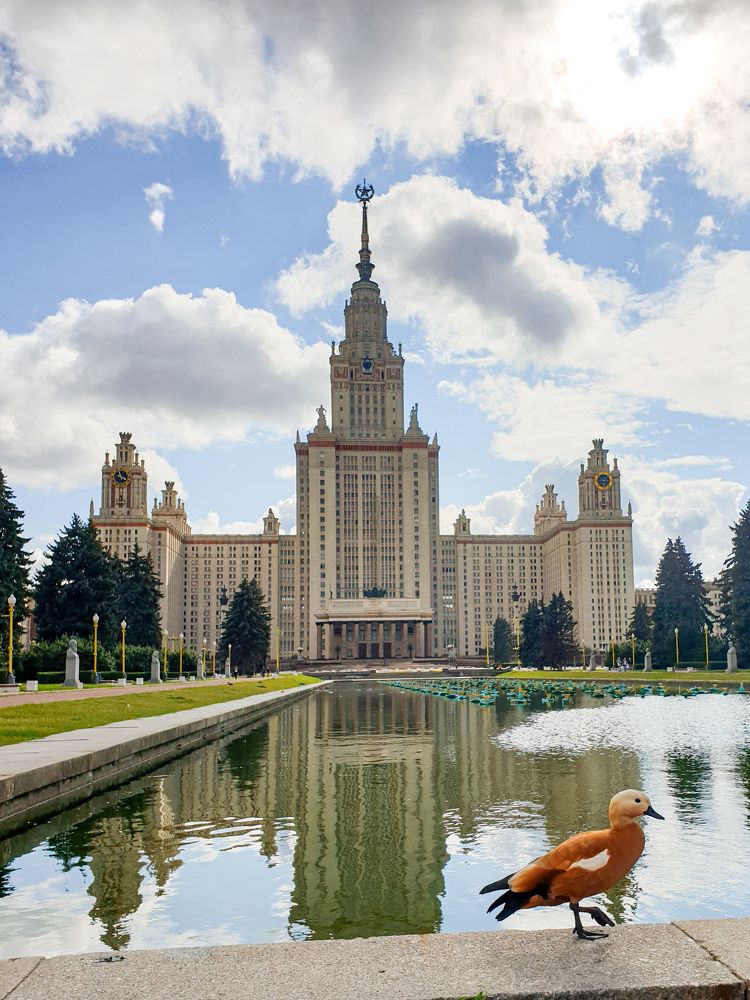 Photograph by Елена Димова