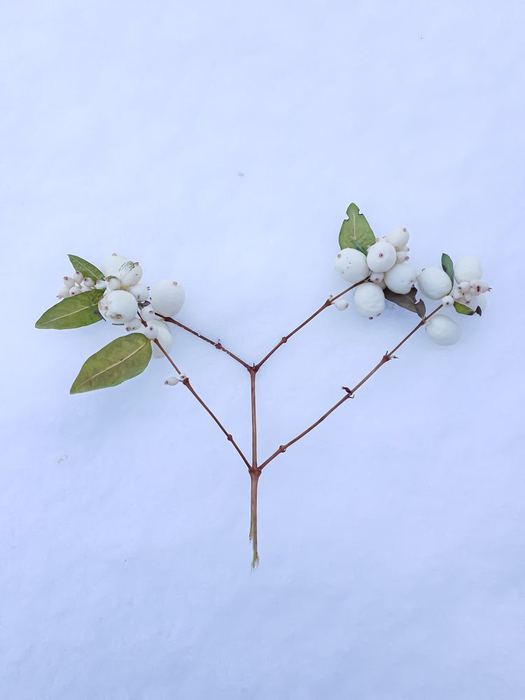 Photograph by Елена Димова