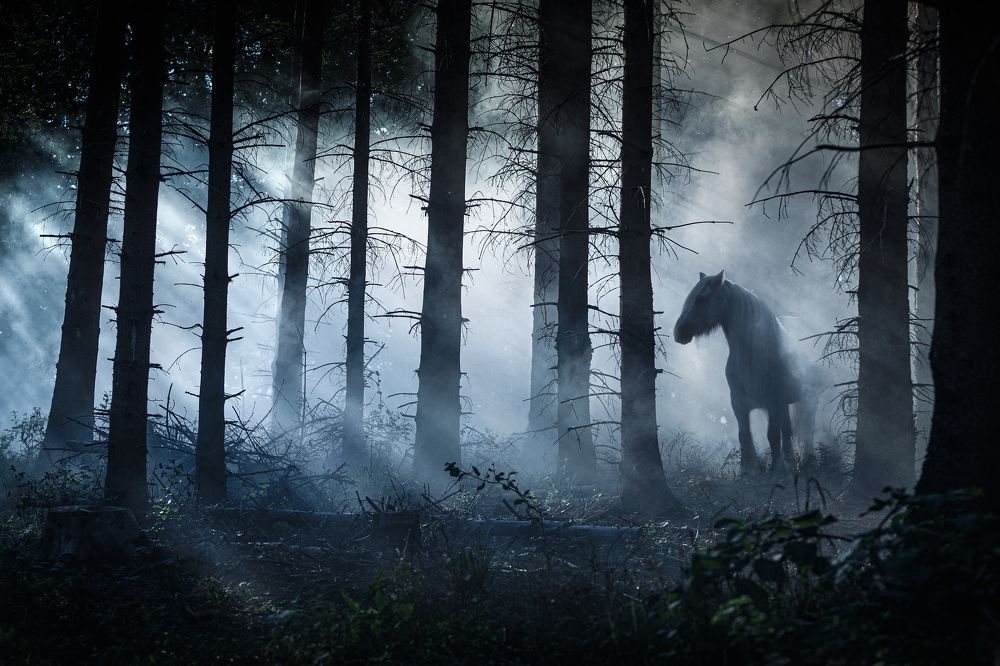 Photograph by Katarzyna Okrzesik-Mikołajek