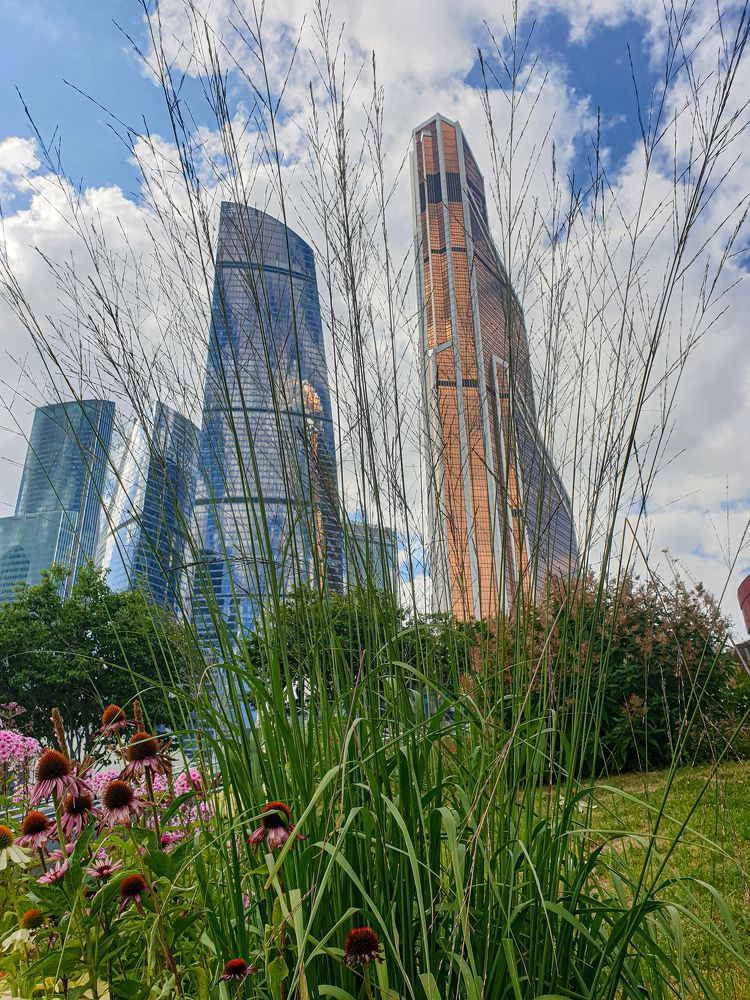 Photograph by Елена Димова