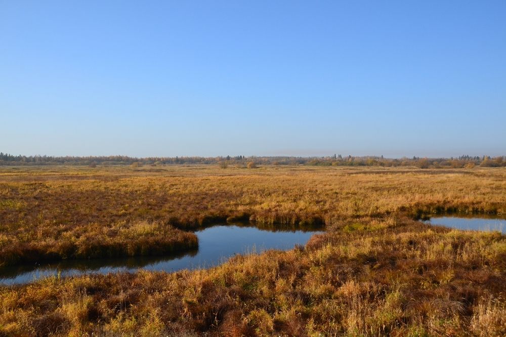 Photograph by Владислав Завальнюк