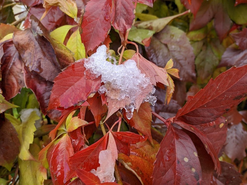 Photograph by Елена Болтенкова