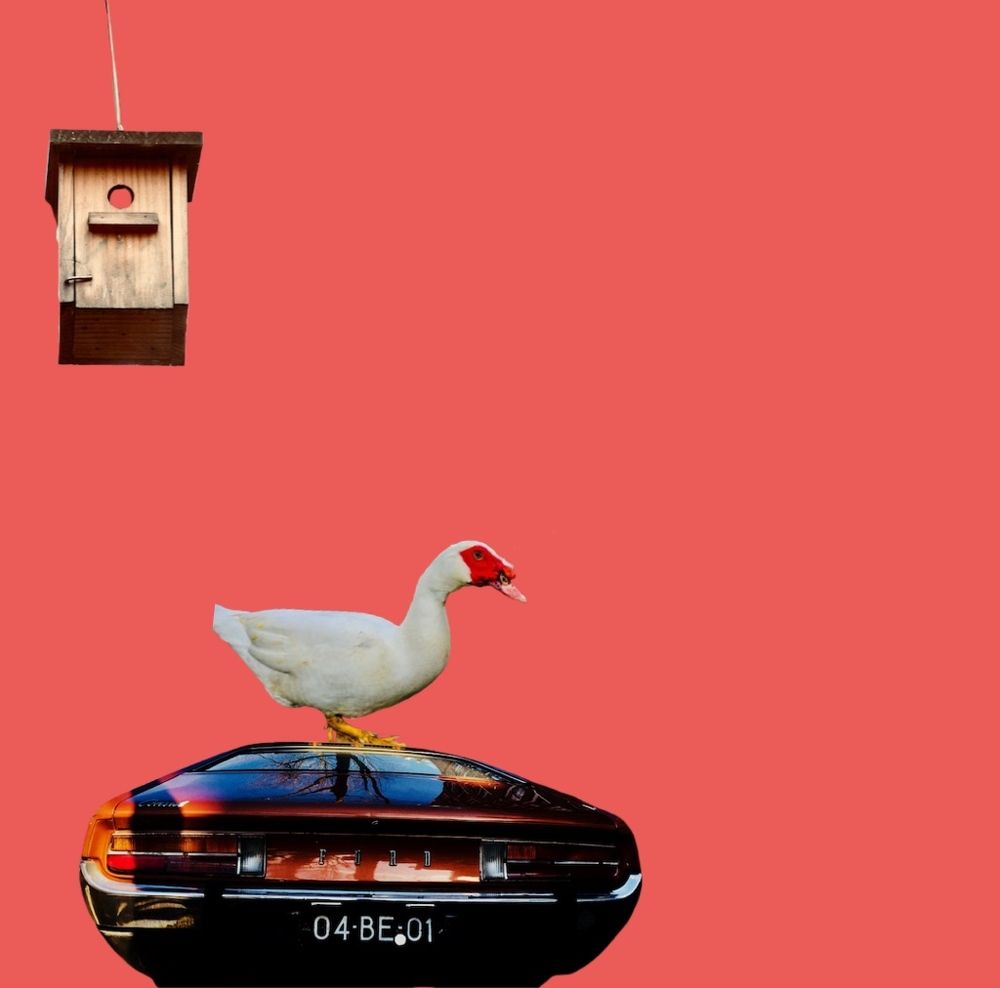 Conceptual minimalism