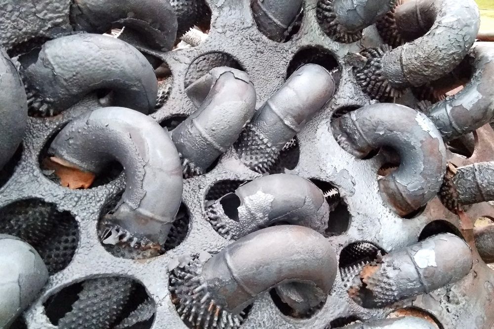 Photograph by Александр Кравченко