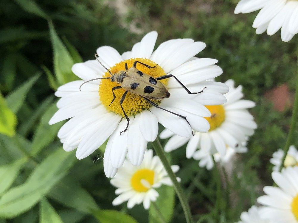 Photograph by Александр Кравченко