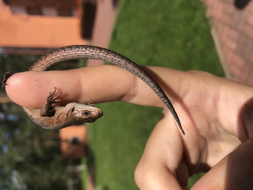 Photograph by Александр Кравченко