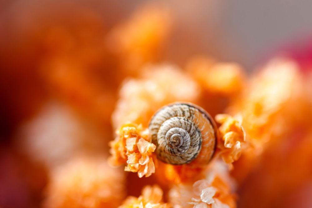 Фотография автора Summerlin