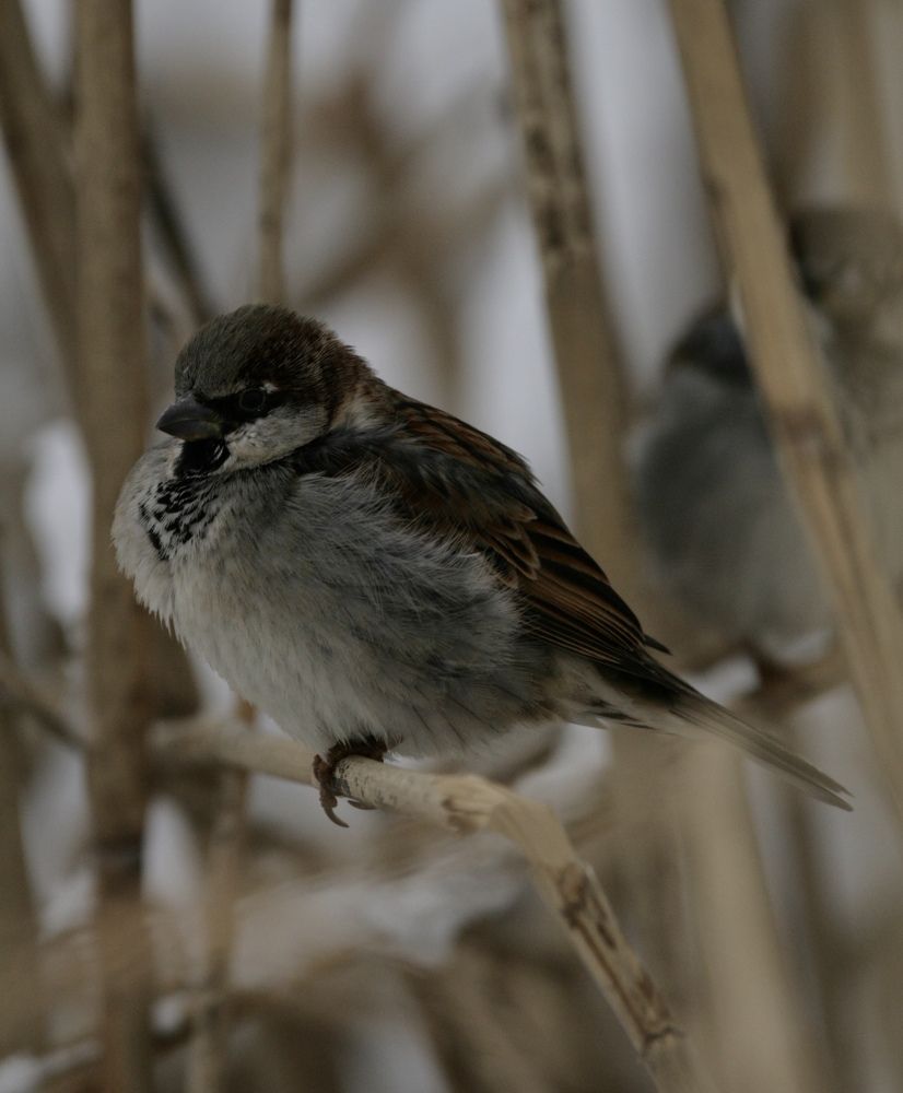 Photograph by Генa Панков