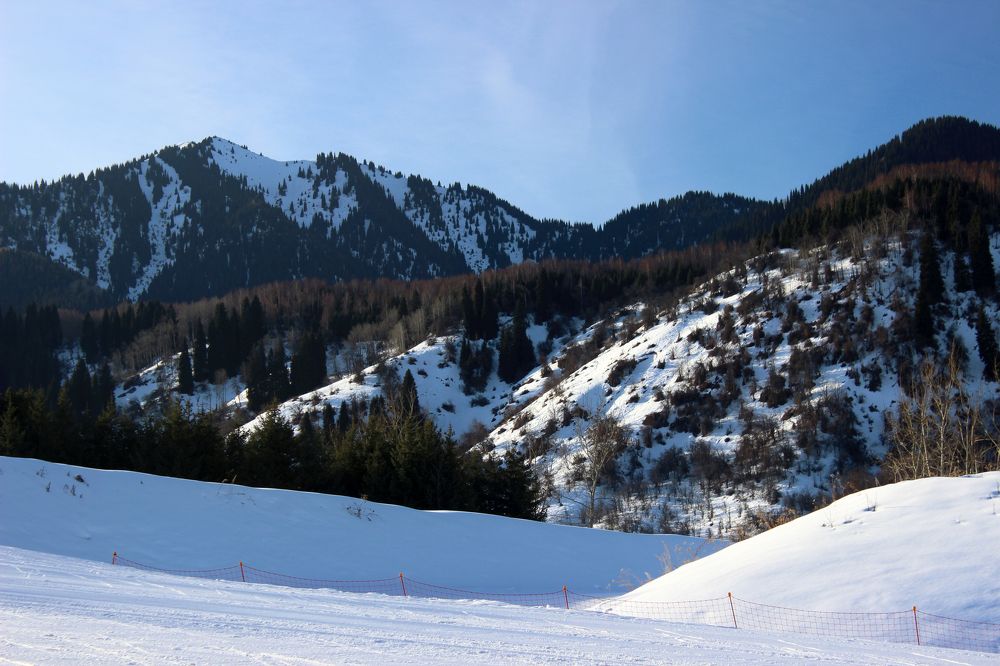 Photograph by Аля Портных