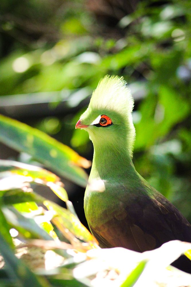 Photograph by Sahitya Murali