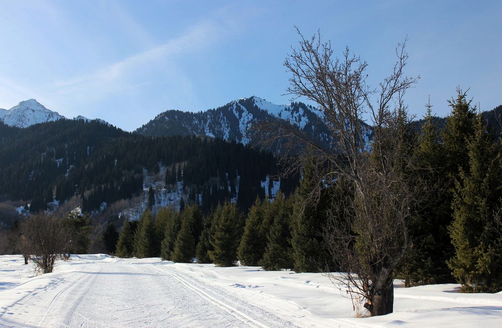 Photograph by Аля Портных