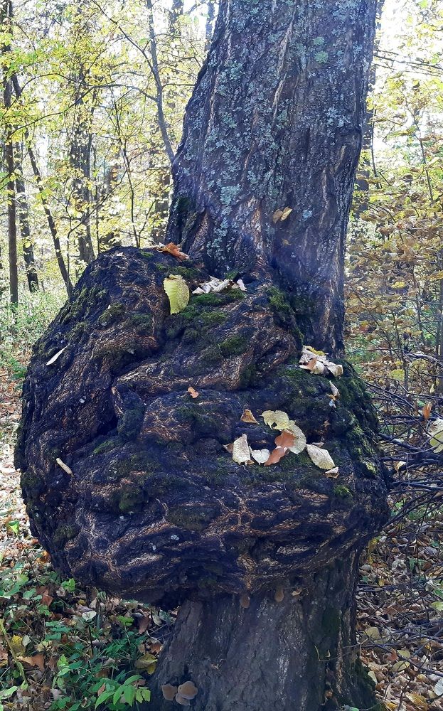 Photograph by Сергей Александрович