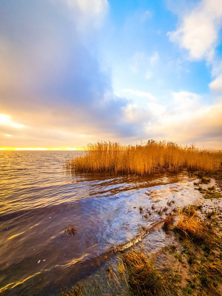 Сестрорецкий Разлив.