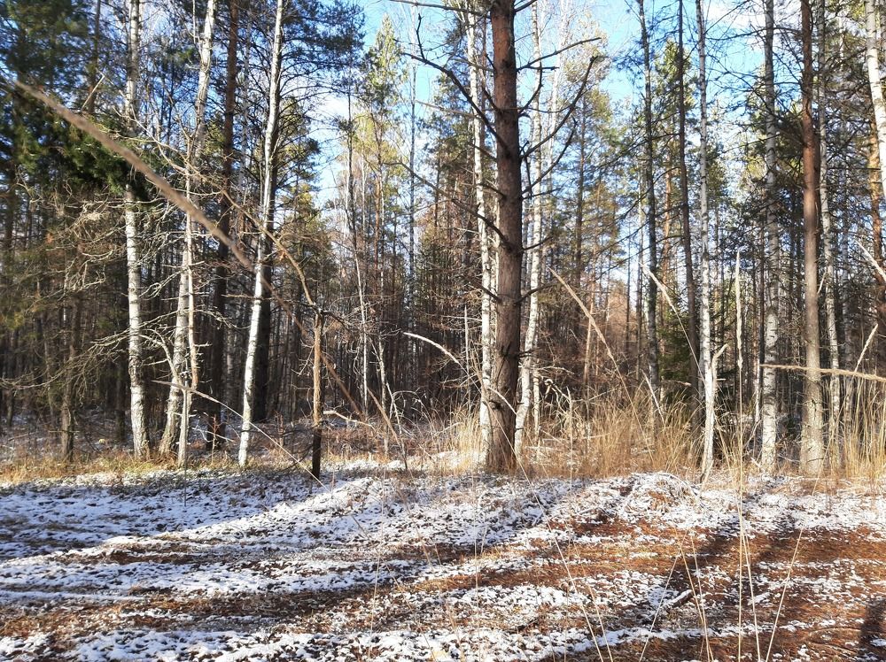 Photograph by Сергей Александрович