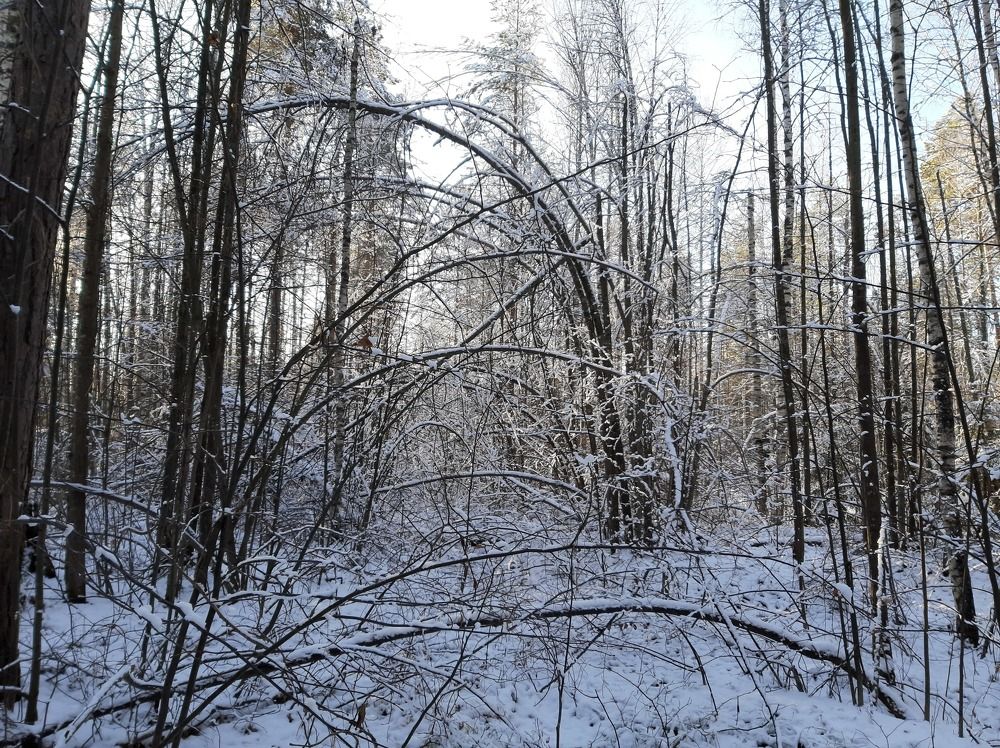 Photograph by Сергей Александрович