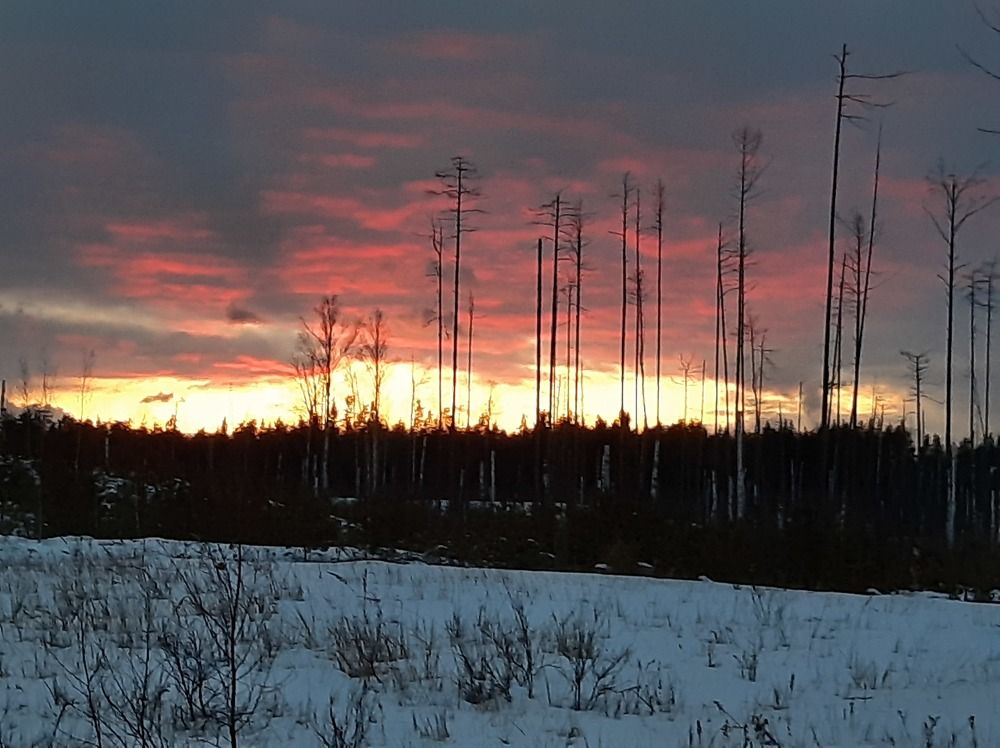 Photograph by Сергей Александрович