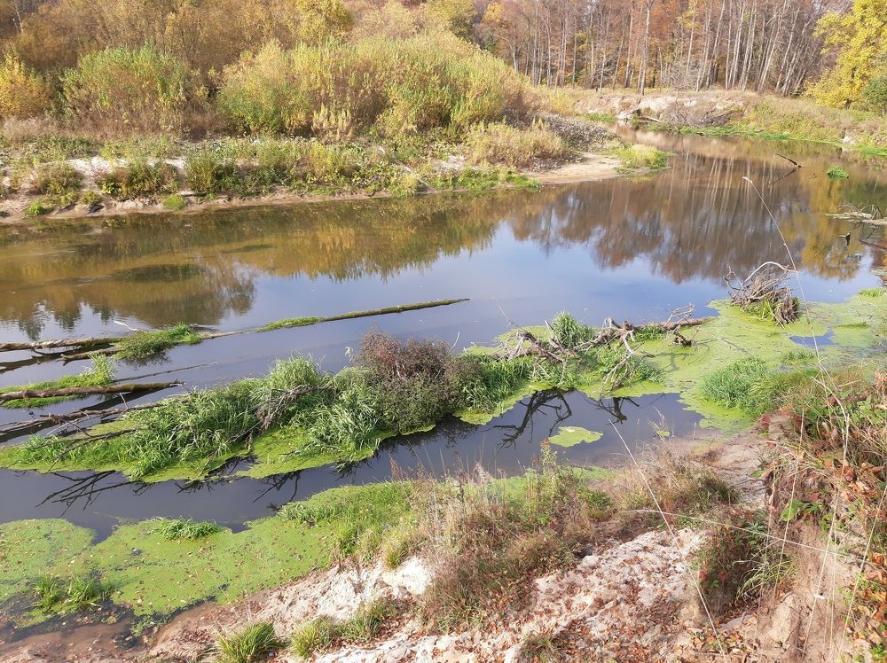 Краски осени