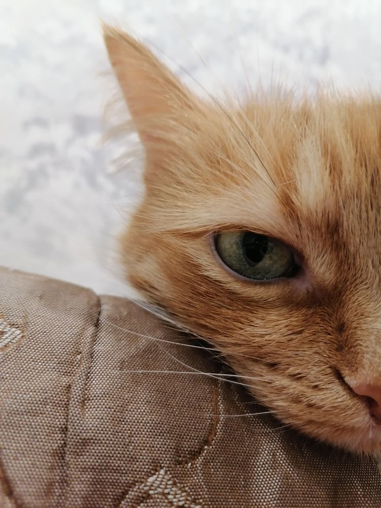 Photograph by Станислав Евсеев