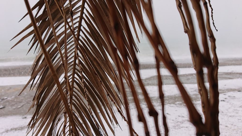 Photograph by Людмила Богачева